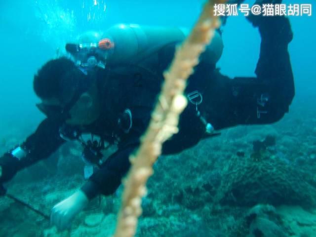 闲鱼回应开线下店:还在试运营阶段 有进展会告知